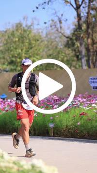 BIB:  <button type="button" onclick="openModal(27588146)" class="btn btn-primary btn-sm float-right" data-toggle="modal" data-target=".modal-high-quality">
                <i class="fa fa-download"></i> Download
                </button>